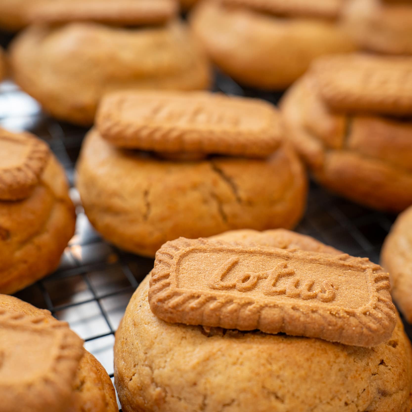 Fridge Full of Cookies
